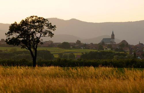Gîte Marcel et Marianne jardin et parking privatifs - Foto 43