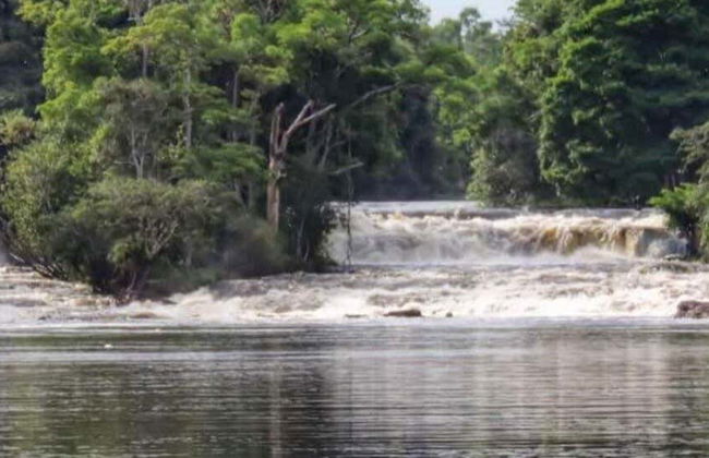 Arapiuns River Communities Tour - Photo 1