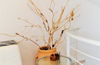 Elenos Villa - Foto 41