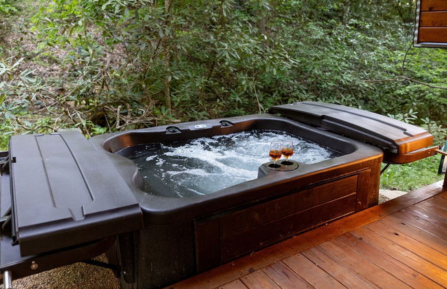 Creekside Fern in Pisgah Forest - Foto 6