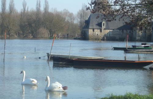 Appt dans maison d'architecte, Spa, Piscine & jardin - Foto 32