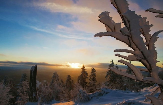 Apartment in Malsburg With Garden - Foto 11