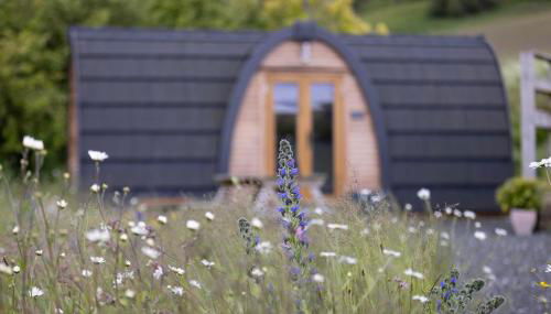 Isla Pod, Kilry eco pods - Foto 2
