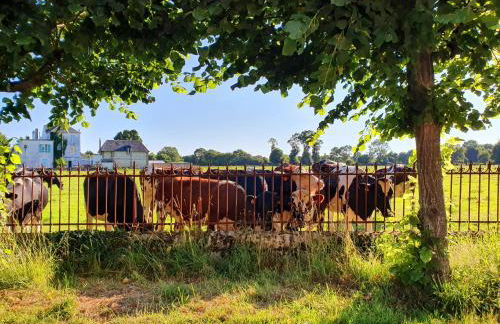 La Venelle Saint Jean - Foto 38