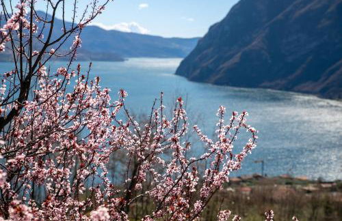 IseoLakeRental - La Dolce Vista - Foto 21