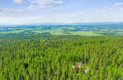 Northwoods Escapes - Foto 39