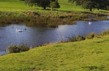 Amble Holiday Home - Photo 9