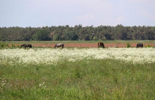 Haus "üm de Eck" - Die Kapitänswohnung - Foto 44