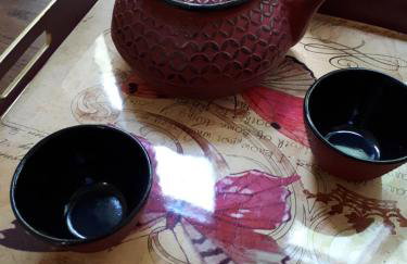 Vue sur le port de Dinan - Foto 18