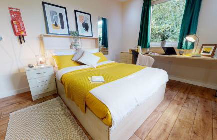 iQ Ty Willis House in Bangor - Foto 10