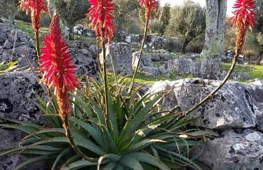 Casa de Amigos - Photo 51