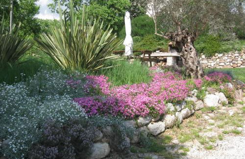 Agriturismo Campagnoletto - Foto 10