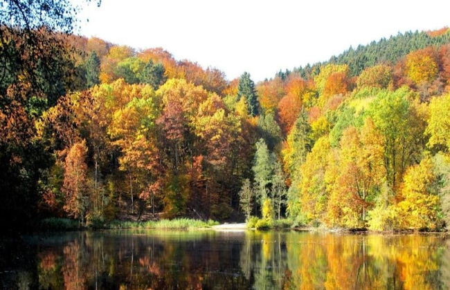 Bungalow im Feriendorf Uslar mit Gartenterrasse - Foto 37
