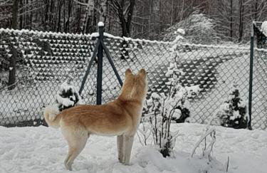JAWORNICA HOUSE domek z pięknym widokiem - Foto 47