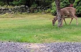 Large Vacation Home Villa- Pool, Indoor Hotub, Game Room, up to 25 guests - Foto 19