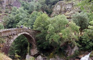 Canastro do Vidoeiro - Foto 43