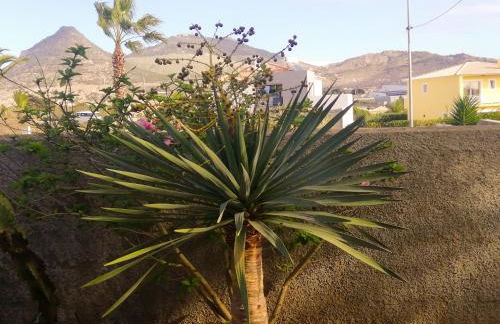 Quintinha das Lombas - Foto 52