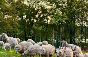 Q80 Appartement - Foto 53