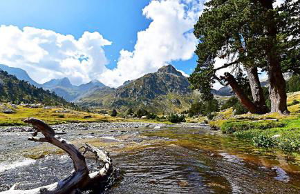 Gîte chalet la Bergerie de Sentantony - Val d'Azun - Montagne Pyrénées - Photo 12