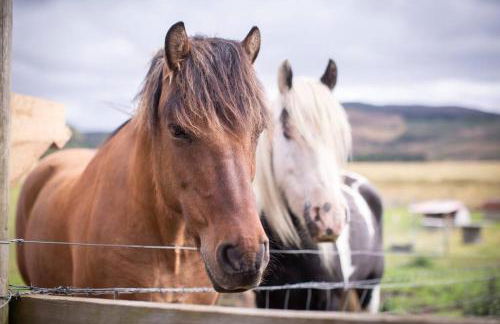 Calm Scottish Country Escape with Hot Tub Sleeps 6 - Foto 42