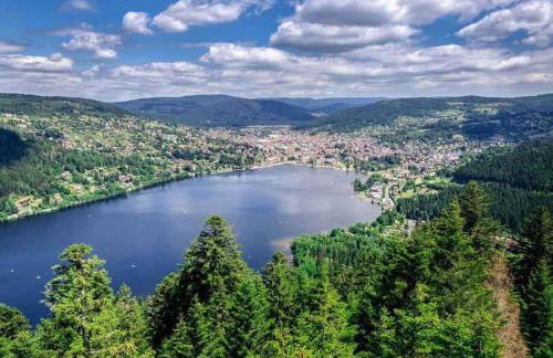 La Clémentine - Foto 35