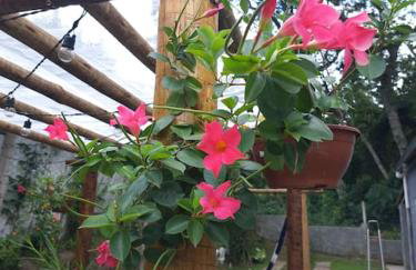 Casa para relaxar, estilosa, privativa e pet friendly - Foto 77