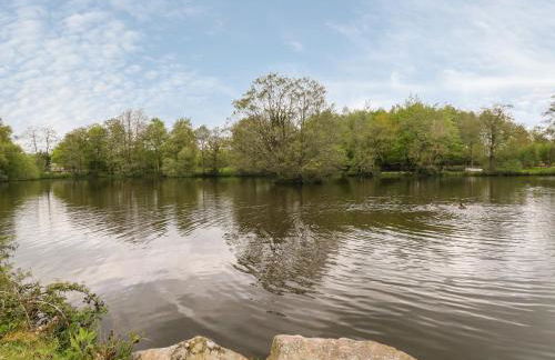 Packhorse Shepherds Hut - Foto 12
