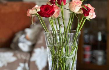 Semina-Marina - Photo 24