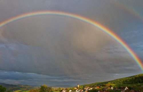 Alpaka-Ferien - Foto 45