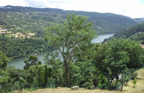 Casa do Alto - Foto 36