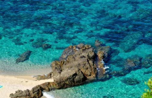 Le Cocon Bord de mer - Foto 29