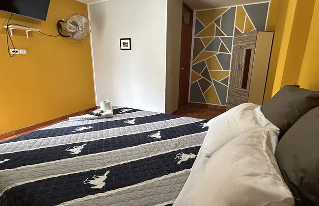 Ica adventures out of the woods - Photo 1