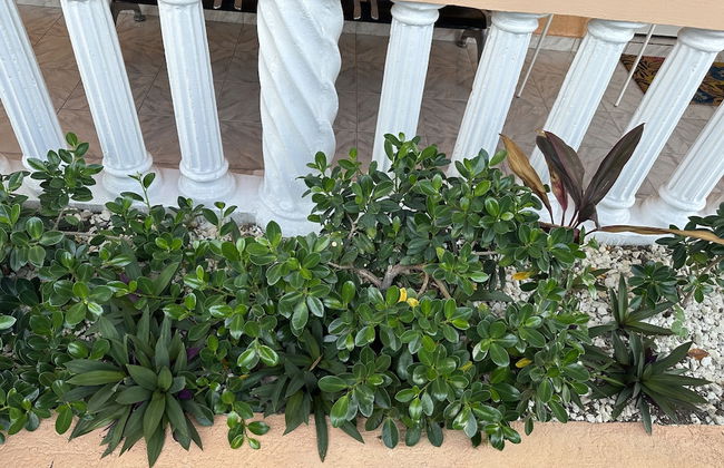 Remarkable 1-bed Apartment in Montego Bay - Photo 18