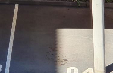 SAO PEDRO APARTMENT - Foto 52