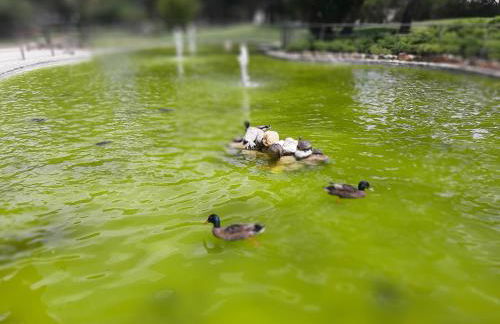 Estoril BeachFront Balcony apartment - Foto 65