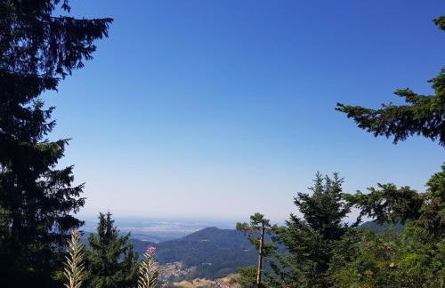 Apartment Bär by Interhome - Foto 37