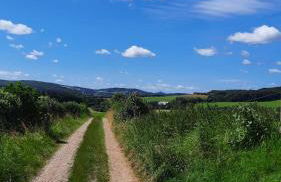 Mayesch Hof - Foto 21