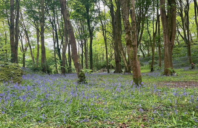 Original Vintage Spirit Alpine Caravan Anglesey - Photo 10