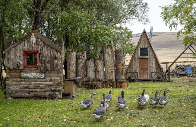 Doğunun Taş Evleri - Foto 70