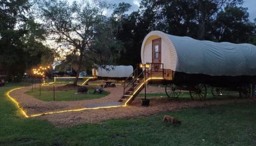 Luxury Covered Wagon, Rooterville Animal Sanctuary - Foto 2