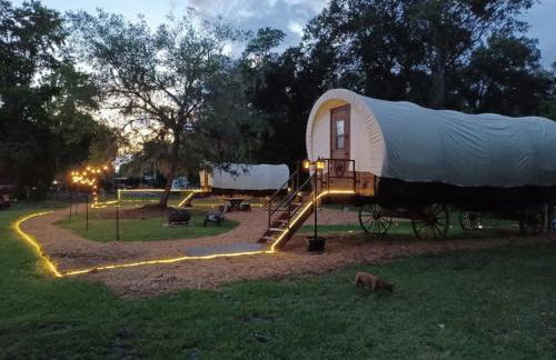 Highland Cow Glamping in a Cozy King Bed Wagon - Foto 1