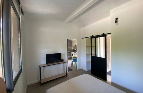 Maison de charme avec vue sur le Mont Ventoux - Foto 8