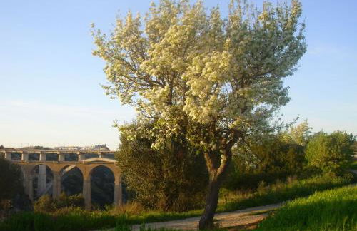 Masseria La Gravina - Foto 64