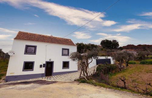 Pomar das Oliveiras - Private Swimming pool - Free EV Chrg - Pet Friendly - Foto 73