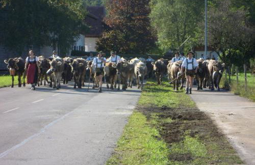 Fewo Wertachliebe - Photo 25