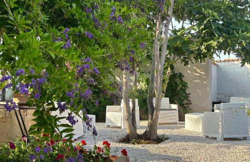 L'Araucaria Appartamento Suite Il Ginepro - Foto 21