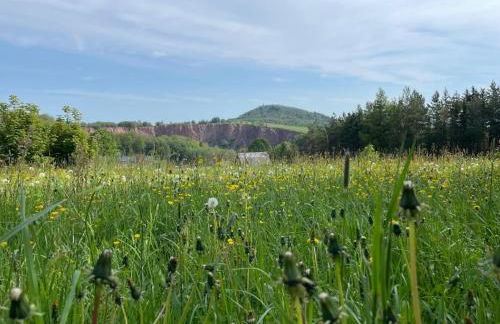 Ferienwohnung An den Galgenteichen - Foto 16