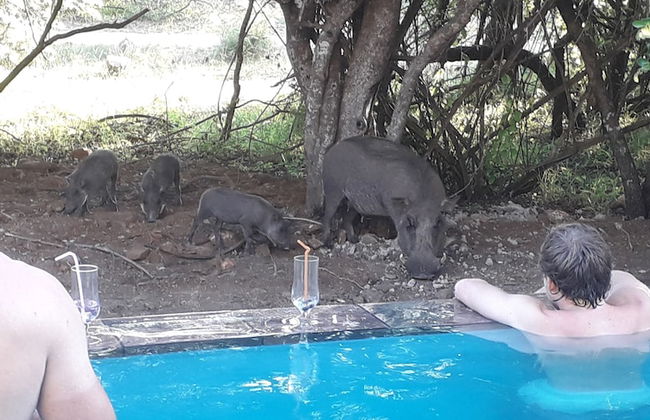 Lovely Holiday Home for a Large Family or Friends Bordering Kruger National Park - Foto 17