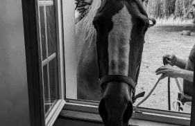 Chambre des moutons - Foto 15