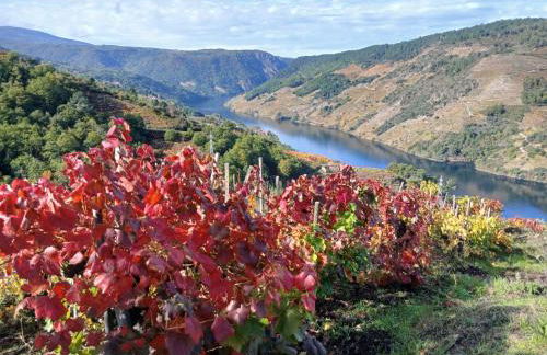 A Feitiña de Rubiacós - Foto 34